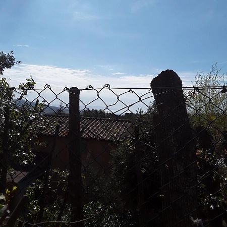 Villetta A Schiera Nei Pressi Del Mare Ливорно Екстериор снимка