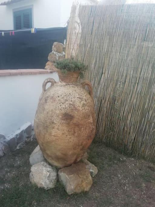 Villetta A Schiera Nei Pressi Del Mare Ливорно Екстериор снимка